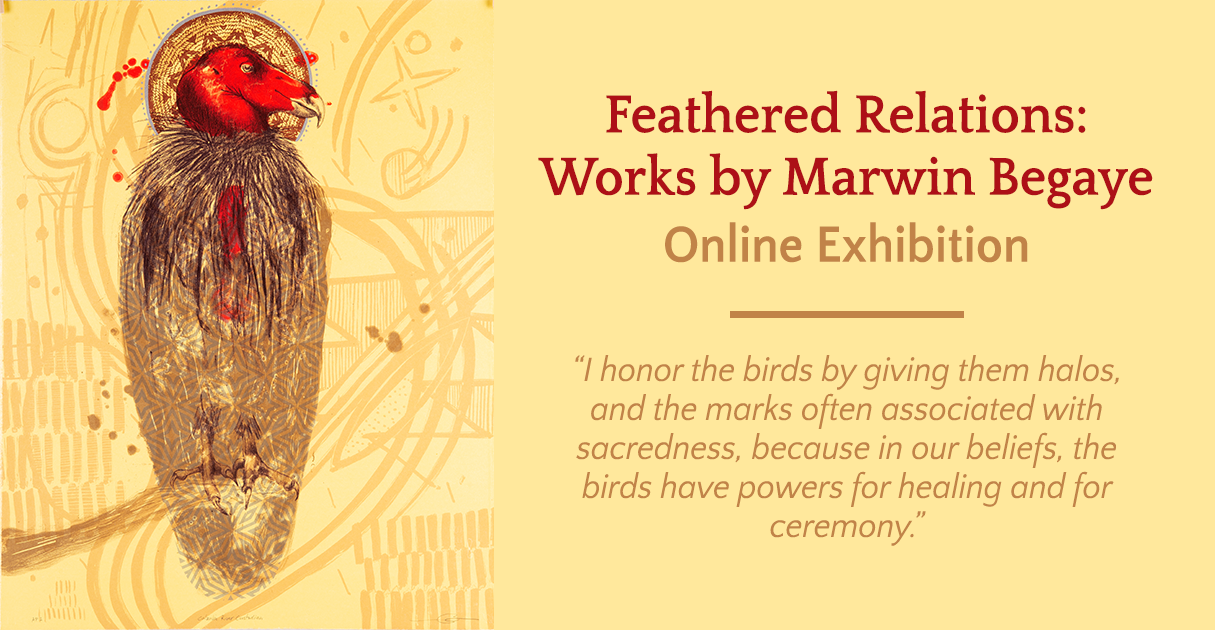 Feathered Relations – Online Exhibit