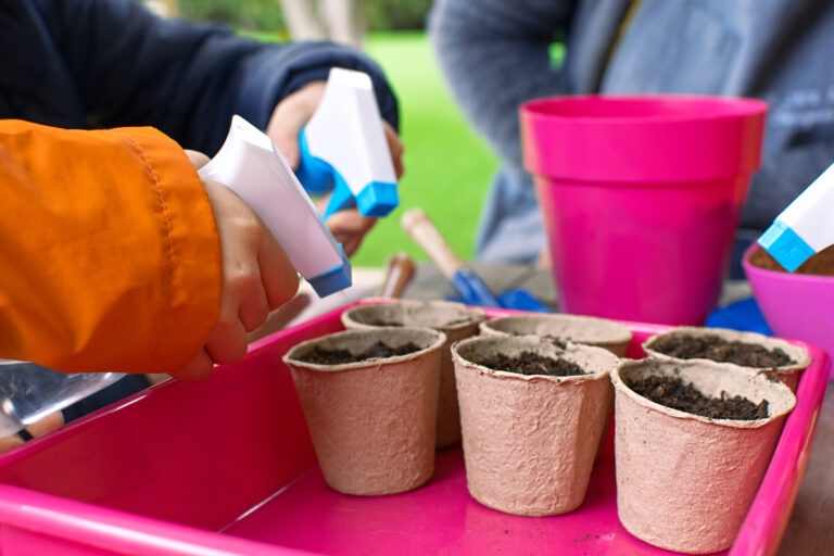 Young children learning how to plant seeds in garden. Narrow depth of field of hands holding seeds and black soil in pot. Ecological garden at primary school in Spain