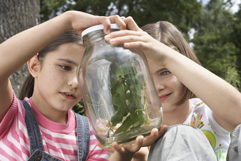 Two girls examining stick insects in jar outdoors