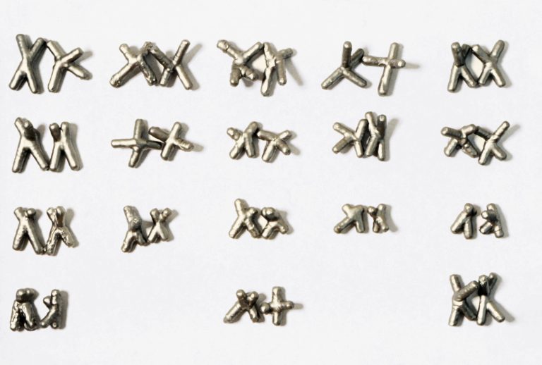 physical sculptures of bat chromosomes