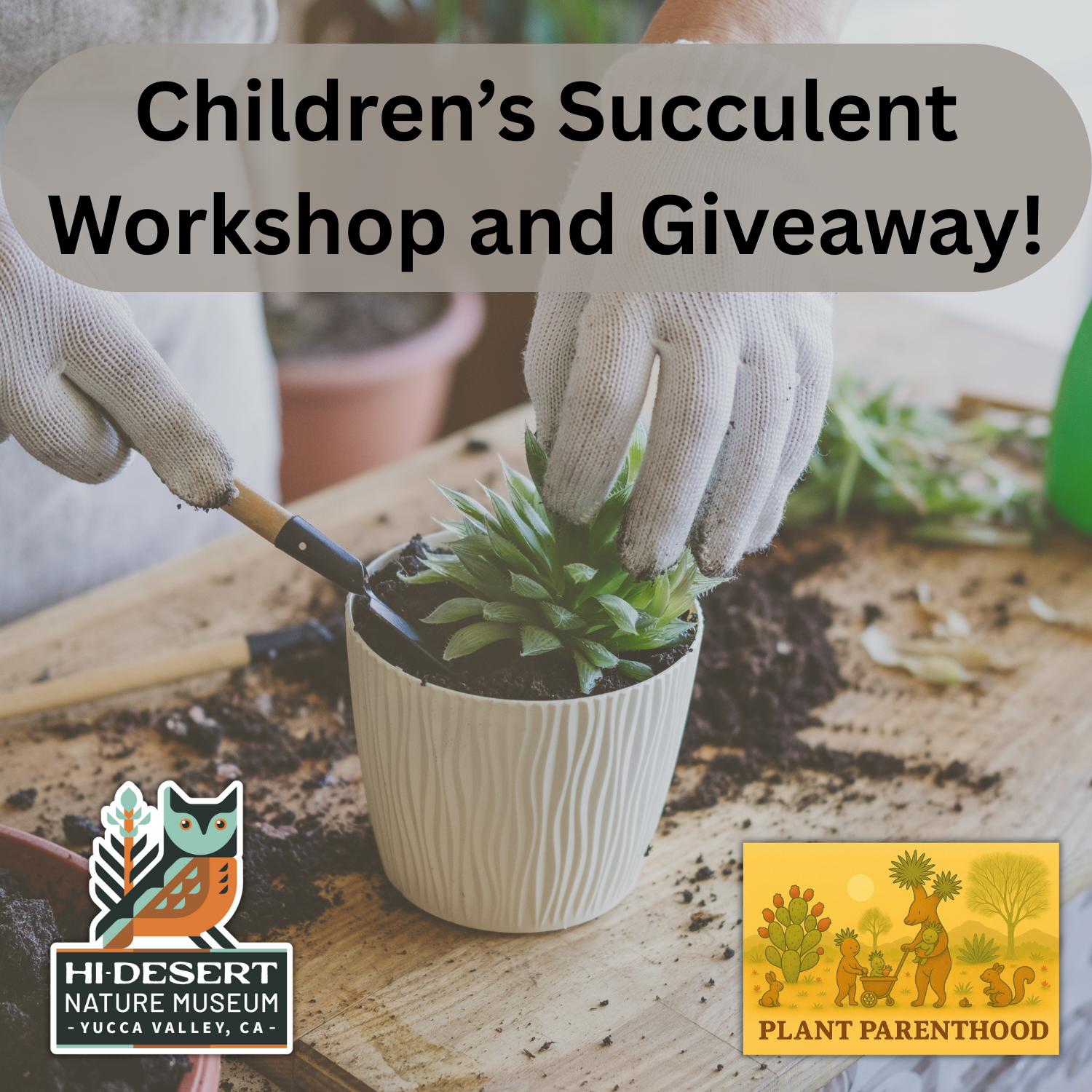 Children’s Succulent Workshop and Giveaway!