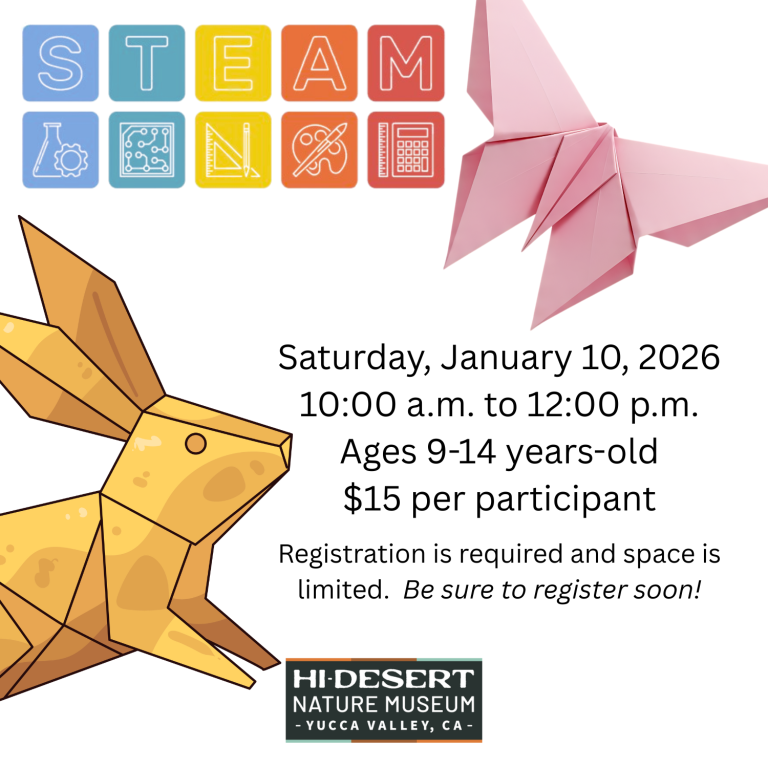 Saturday, January 10, 2026 10:00a.m. to 12:00p.m. Ages 9-14 years old $15 per participant Registration is required and space is limited. Be sure to register soon! Yellow origami rabbit and pink origami butterfly.