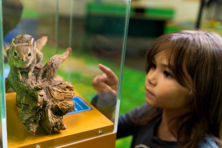 A young girl with brown hair is pointing at a chipmunk in an enclosure