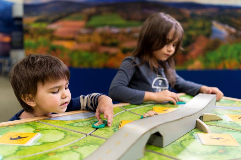 Two children are playing with a play tortoises and a bridge